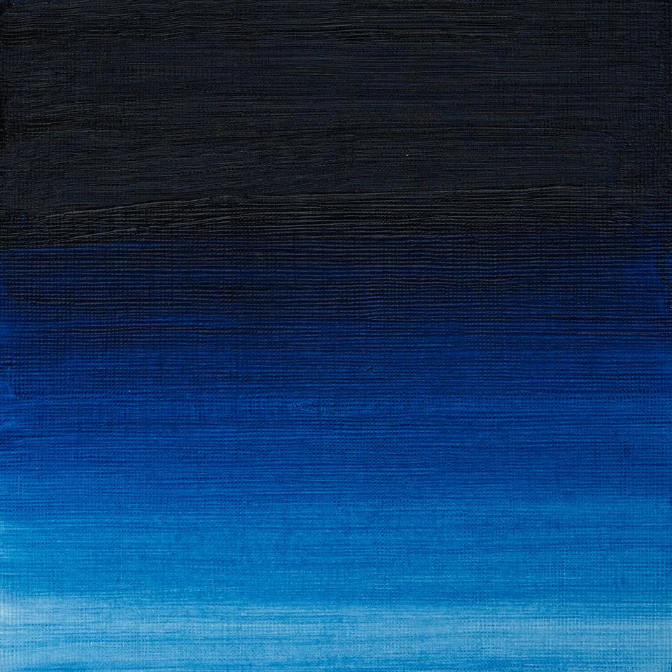 Pintura al Óleo Profesional Winsor & Newton 37ml