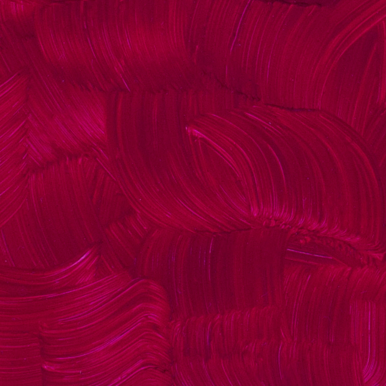 Óleo Artists Oil Gamblin 37ml