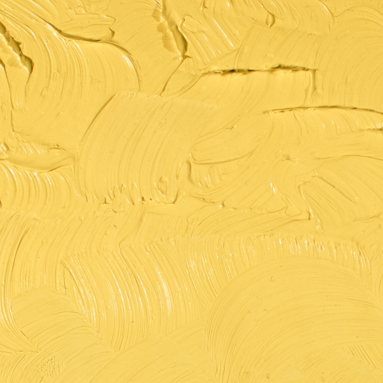 Óleo Artists Oil Gamblin 37ml