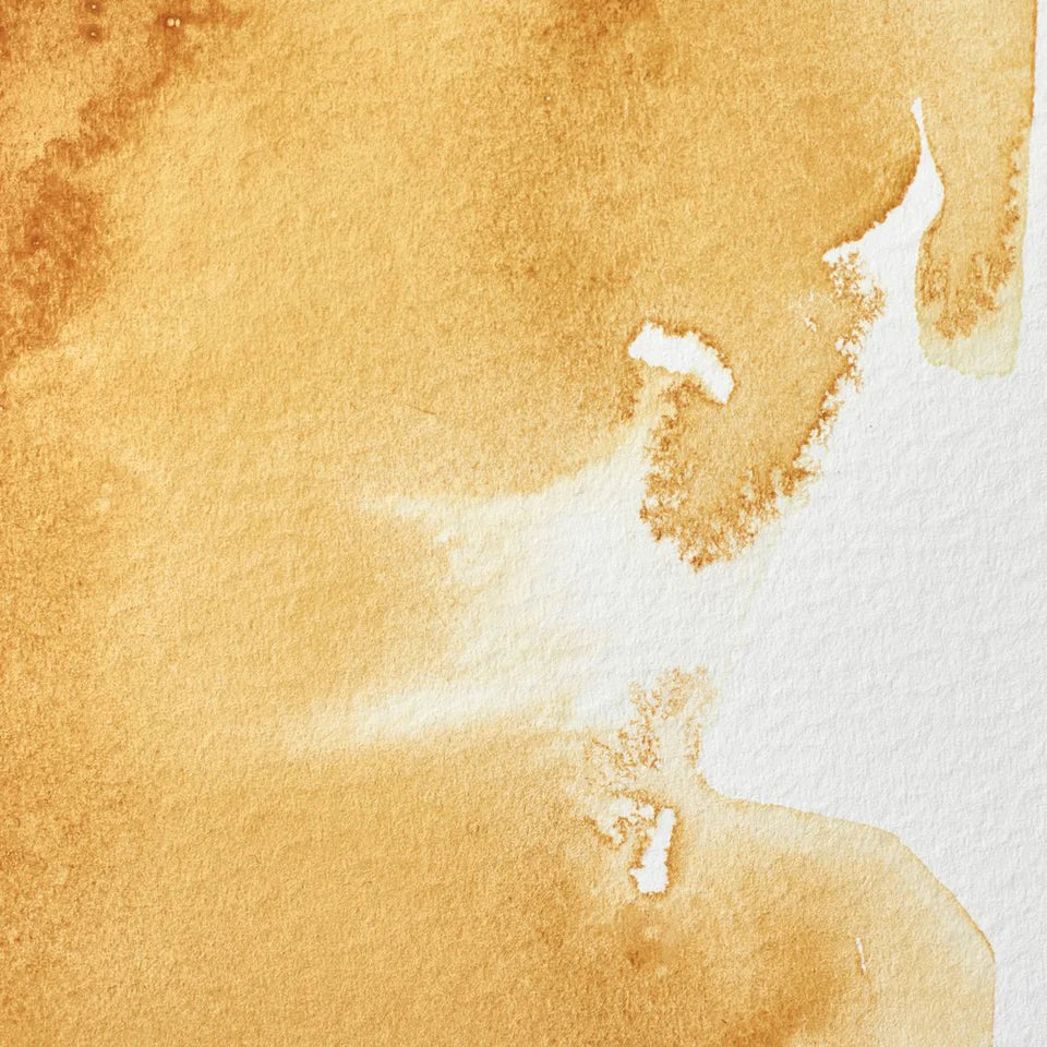 Acuarela Profesional 5ml Winsor & Newton