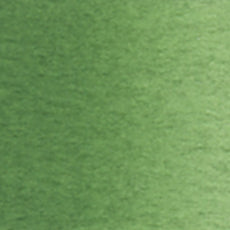 Acuarela Profesional 5ml Holbein