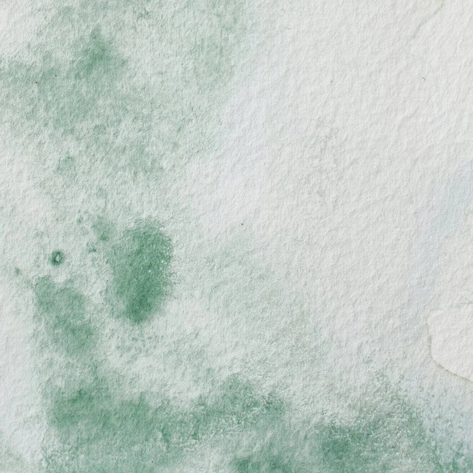 Acuarela Profesional 5ml Winsor & Newton