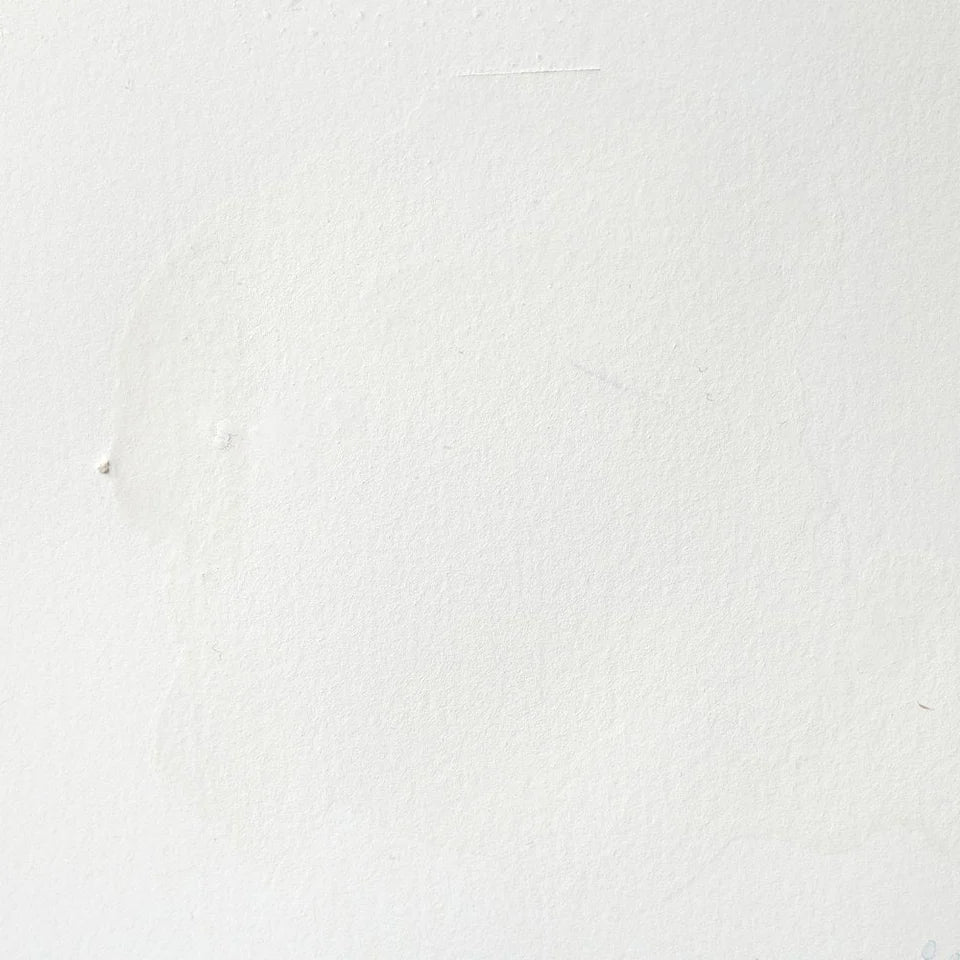 Acuarela Profesional 5ml Winsor & Newton