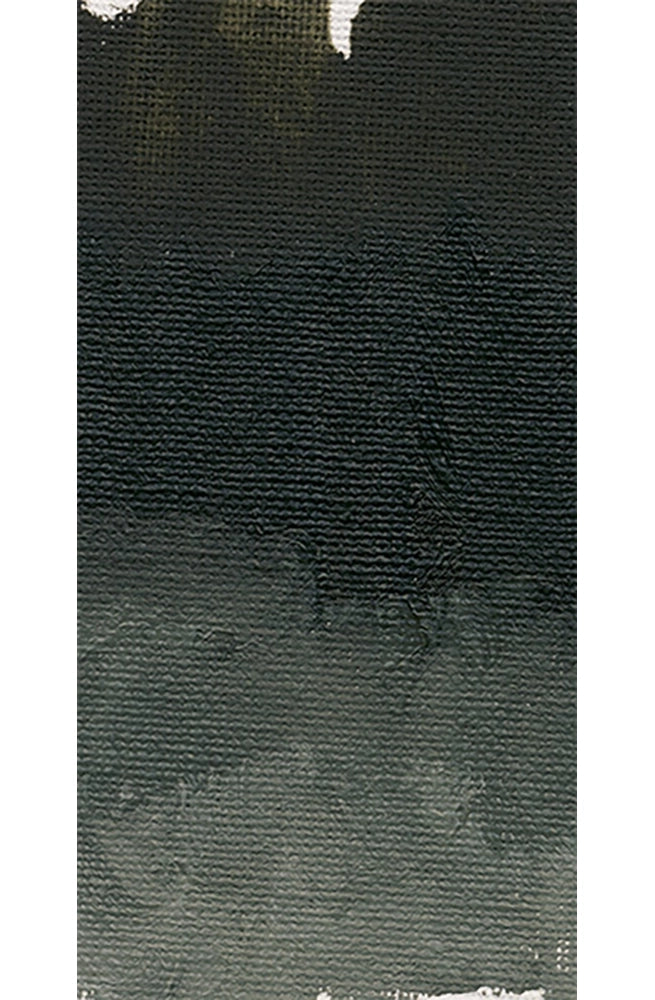 Pintura al Óleo Profesional Williamsburg 37ml