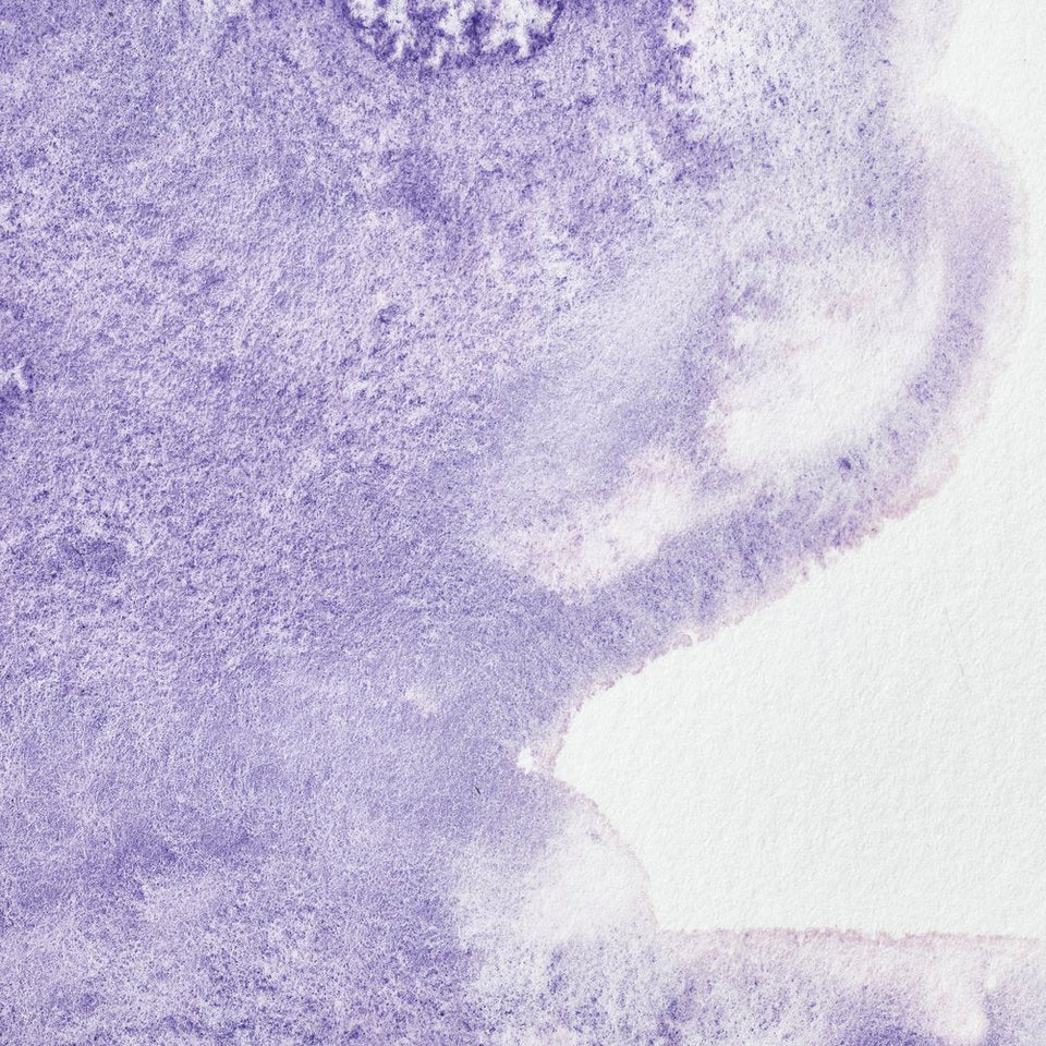 Acuarela Profesional 5ml Winsor & Newton