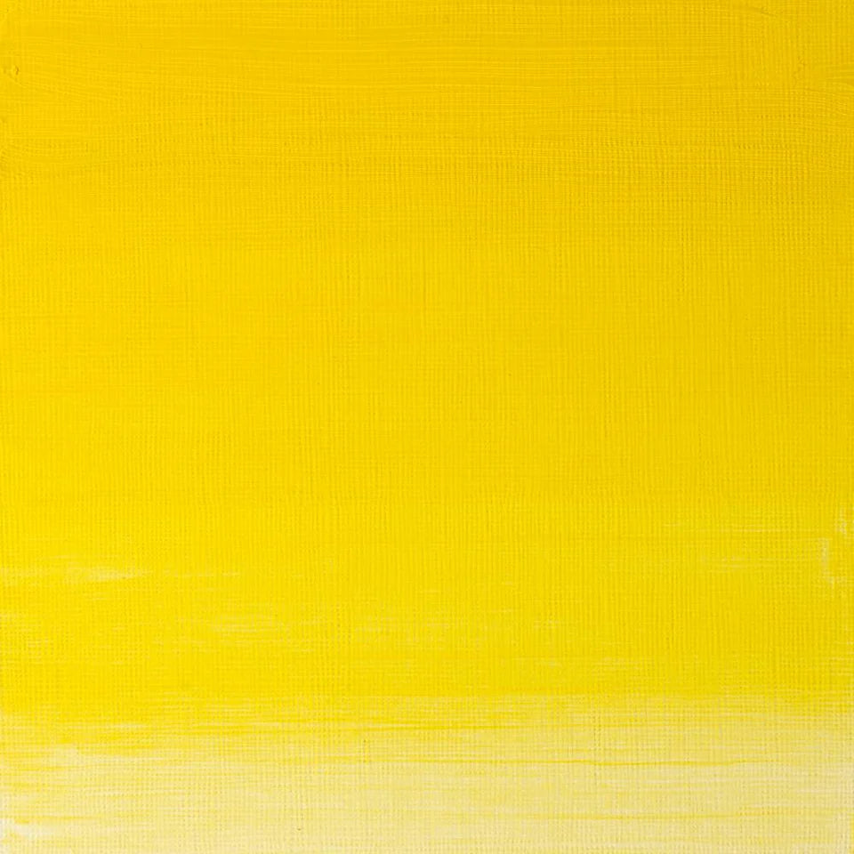 Pintura al Óleo Profesional Winsor & Newton 200ml