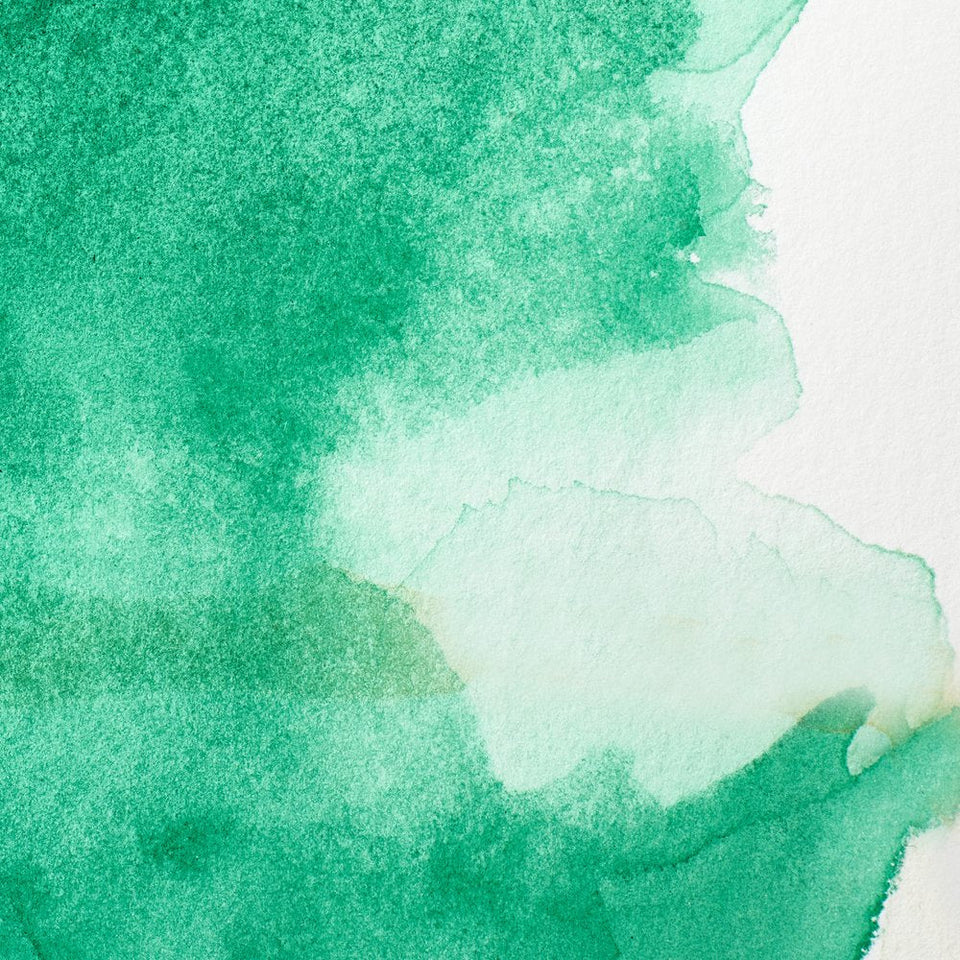 Acuarela Profesional 5ml Winsor & Newton