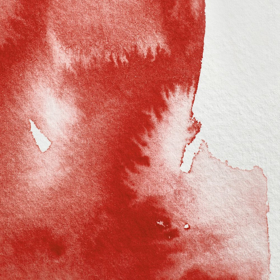 Acuarela Profesional 5ml Winsor & Newton