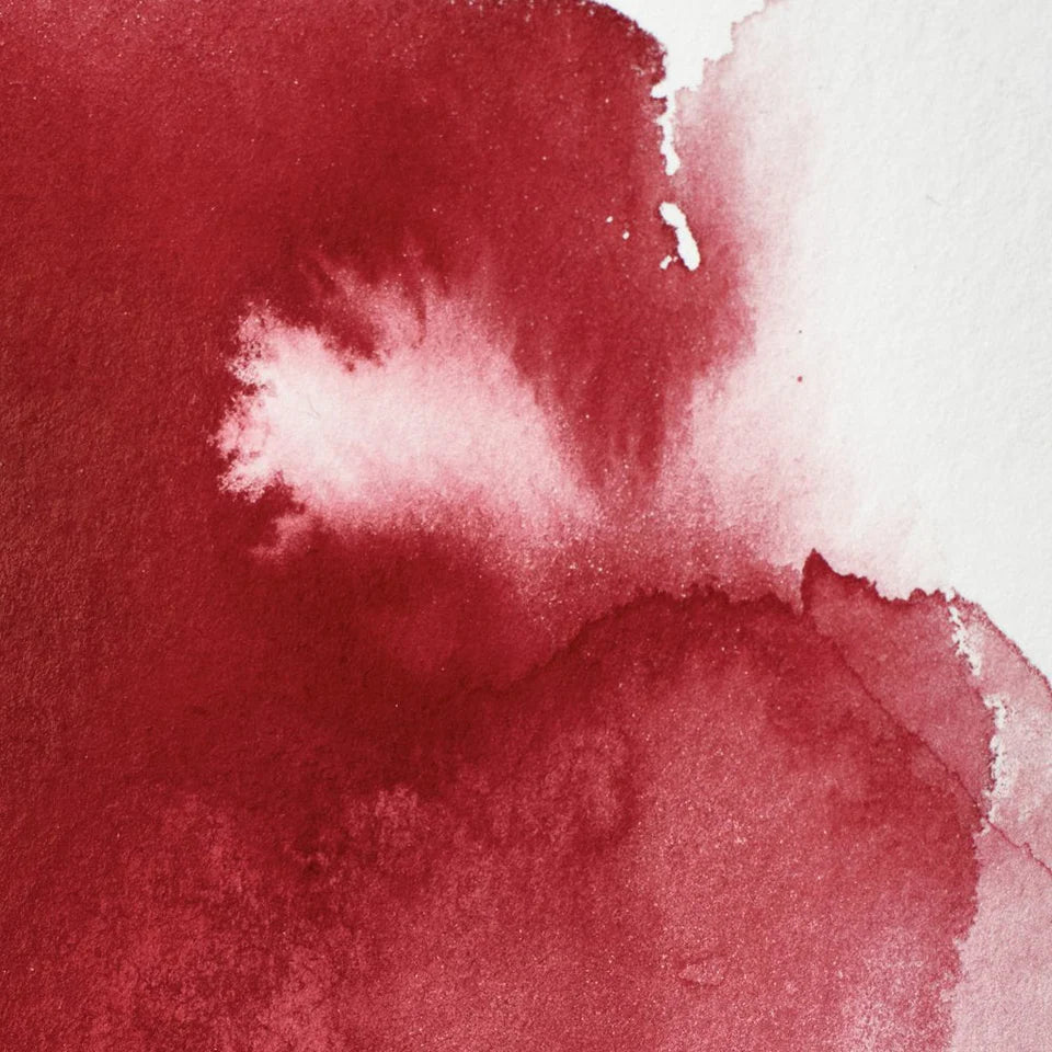 Acuarela Profesional 5ml Winsor & Newton