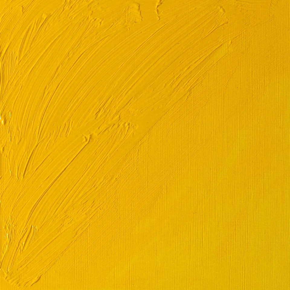 Pintura al Óleo Profesional Winsor & Newton 37ml