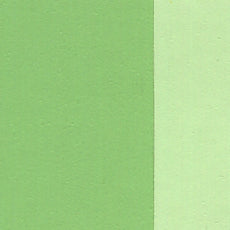 Pintura al Óleo Extra Fino Holbein 40ml